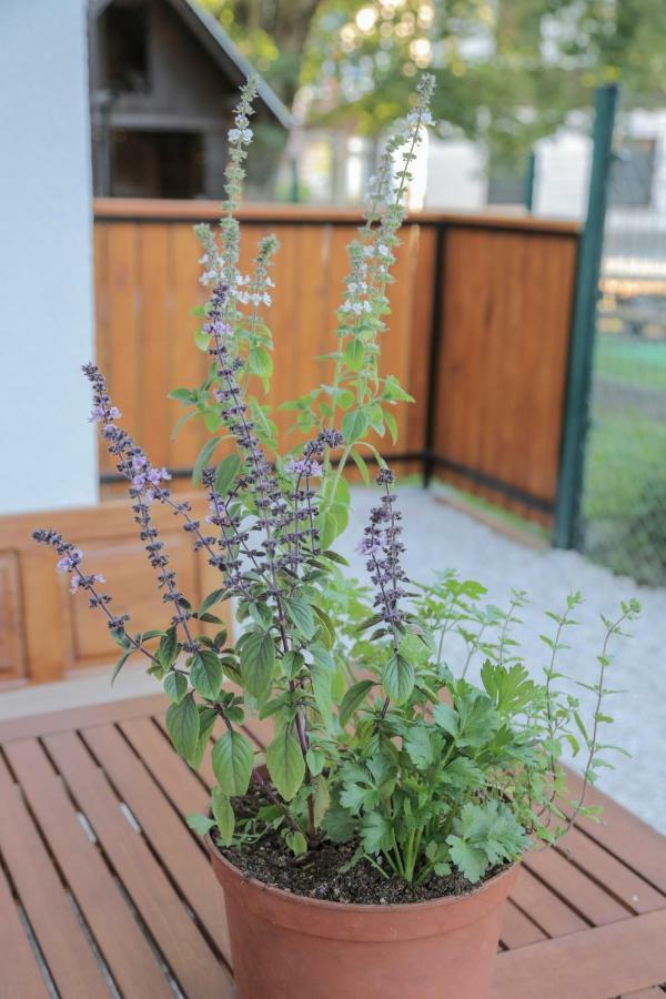 Pikon Apartment Bohinj