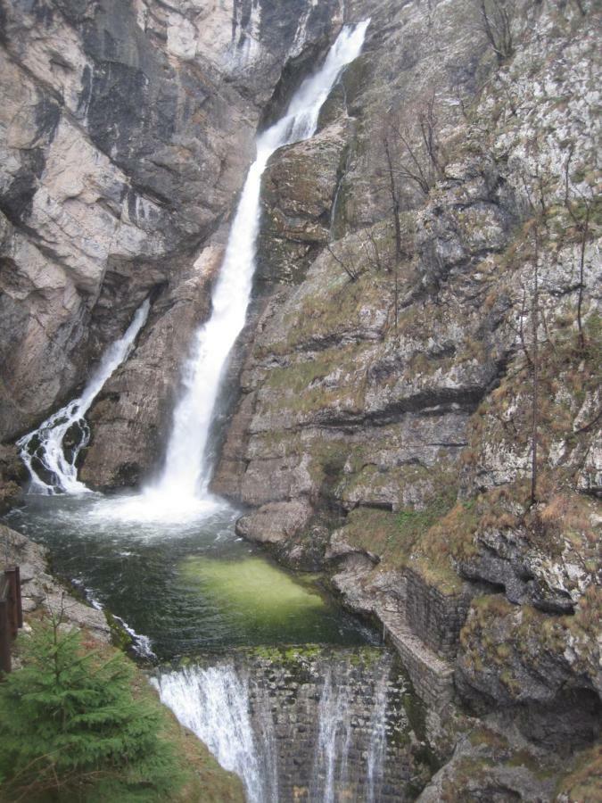 Apartmán Pikon Bohinj